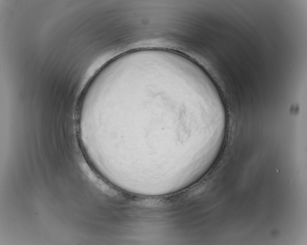 X0000112720998200910011128