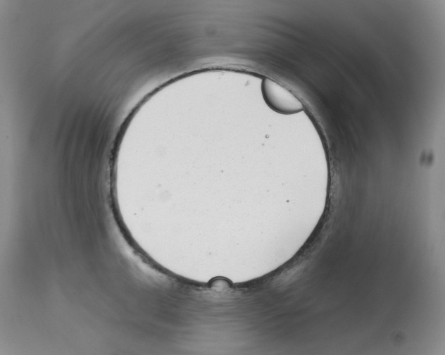 X0000112720999200910011128