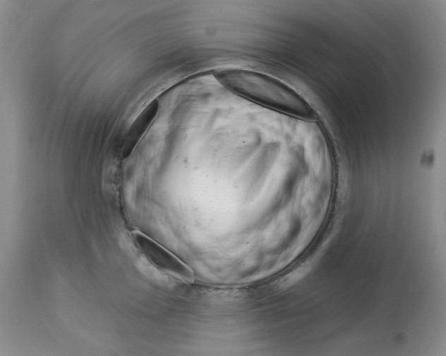 X0000112721001200910011127