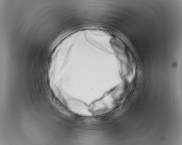 X0000112721002200910011127