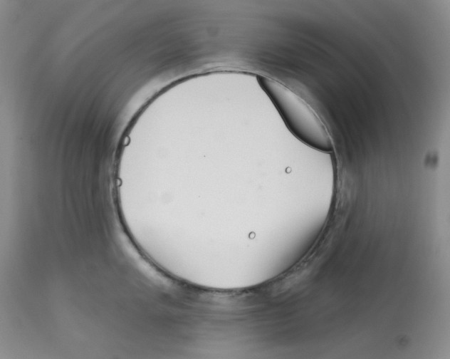 X0000112721005200910011127