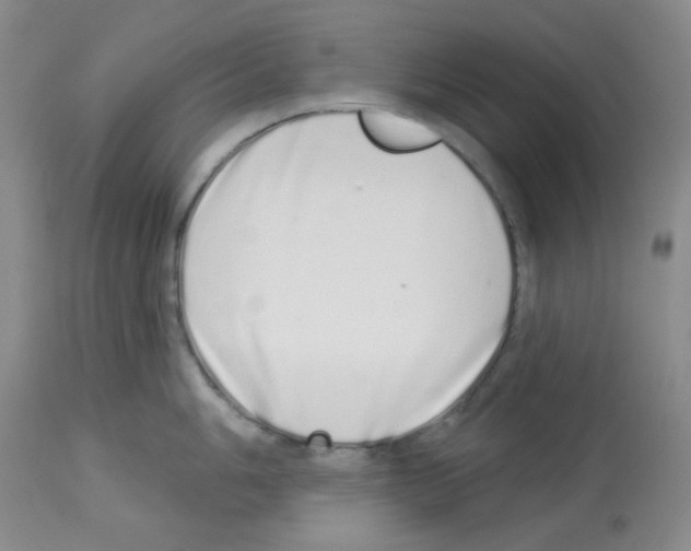 X0000112721006200910011127