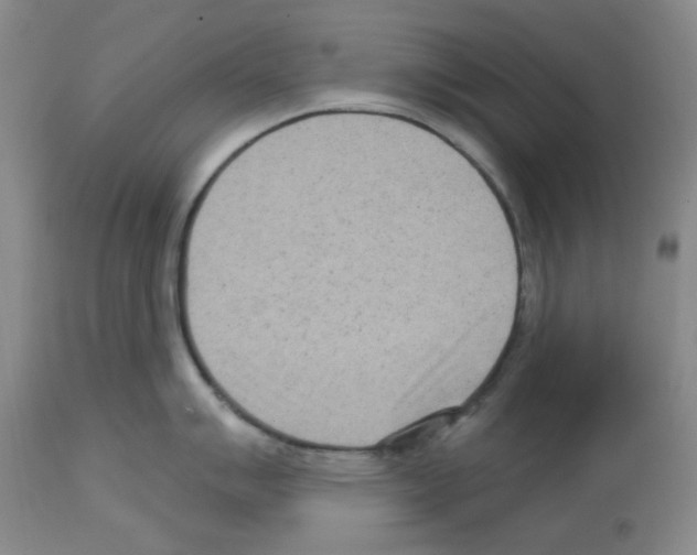 X0000112721007200910011127