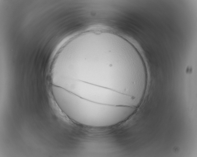 X0000112721008200910011127