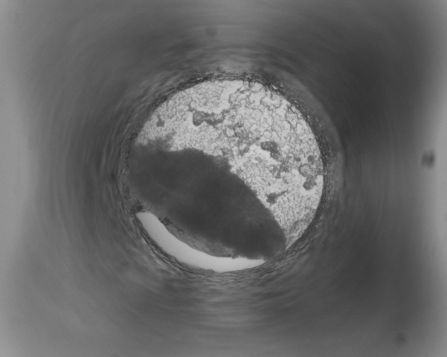 X0000112721009200910011127