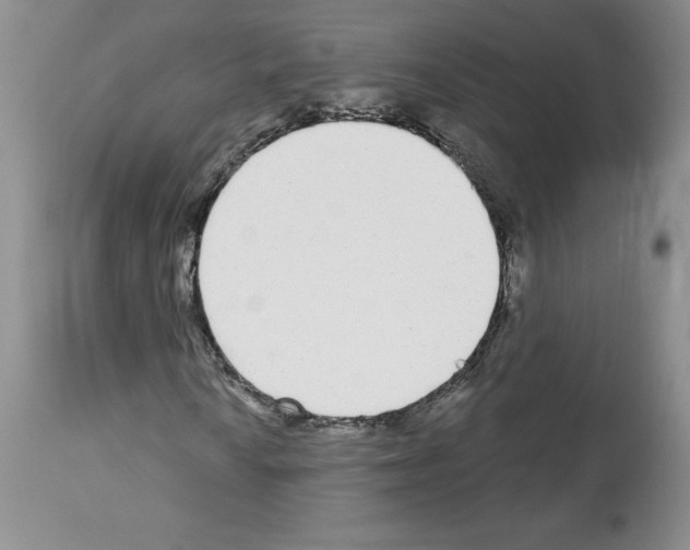 X0000112721010200910011127