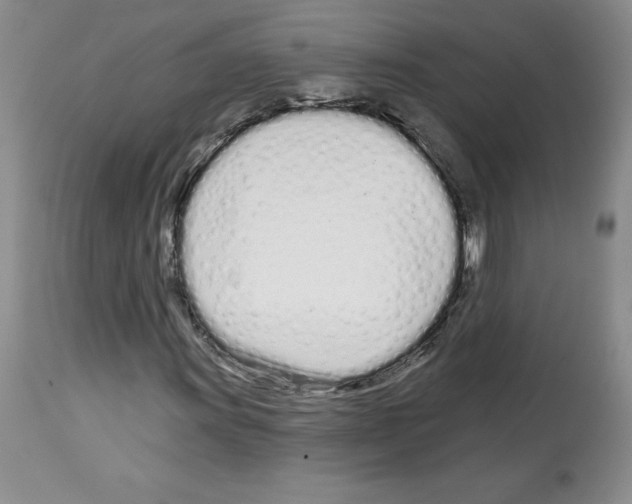 X0000112721011200910011127