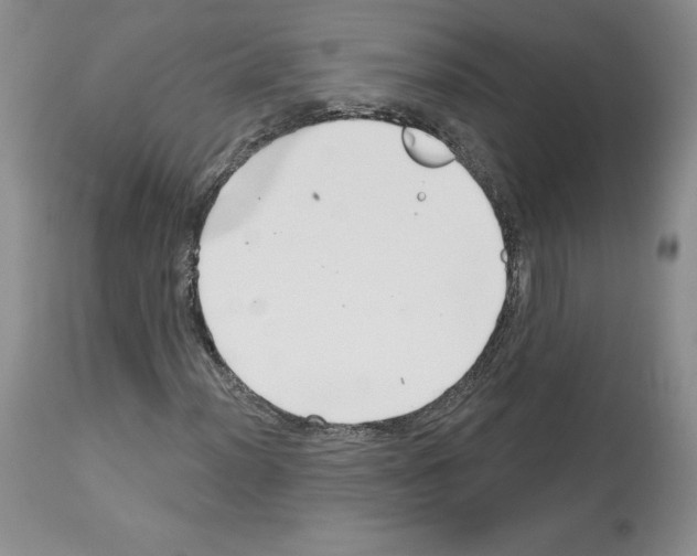 X0000112721012200910011127