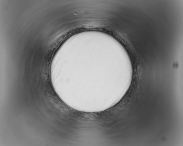 X0000112721015200910011127