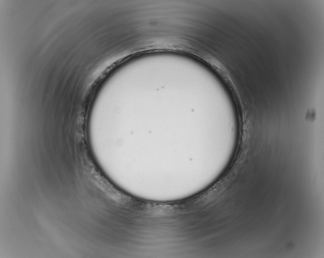 X0000112721019200910011127