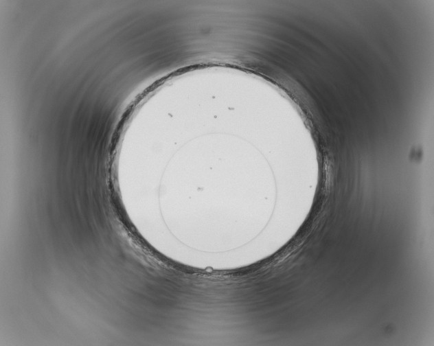 X0000112721020200910011127