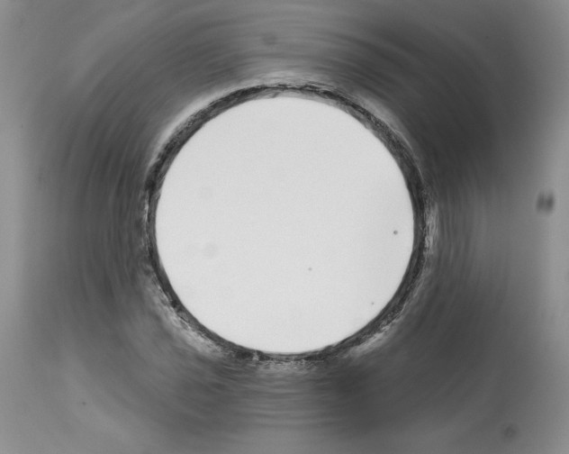 X0000112721021200910011127