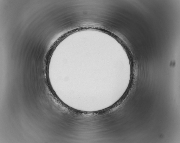 X0000112721022200910011127