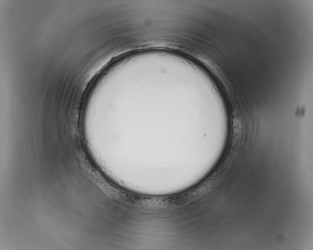 X0000112721023200910011127