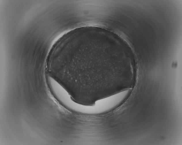 X0000112721024200910011127