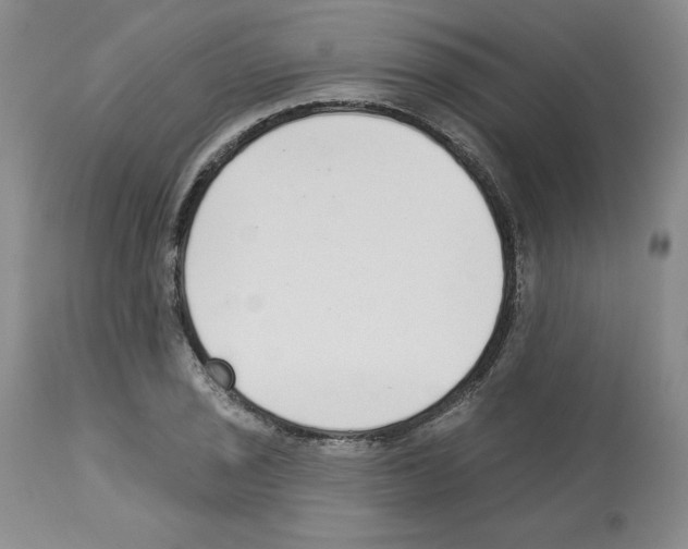 X0000112721029200910011127