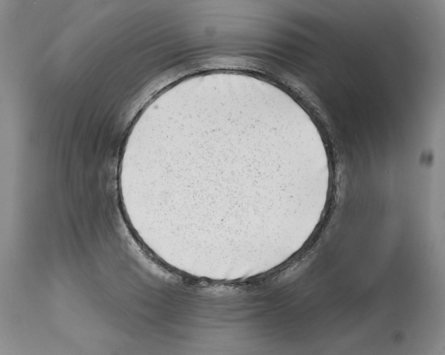 X0000112721033200910011127