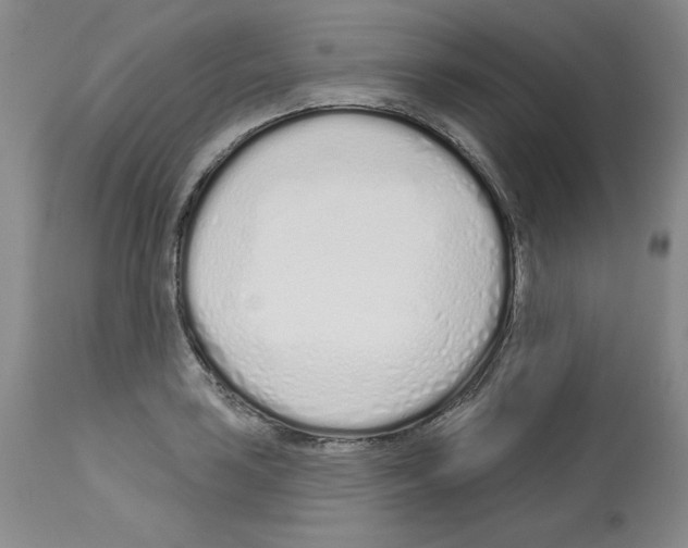 X0000112721035200910011127