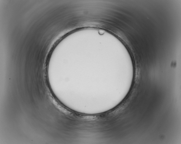 X0000112721037200910011127