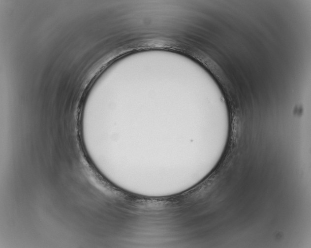 X0000112721039200910011127