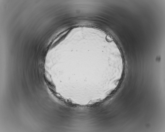 X0000112721041200910011127