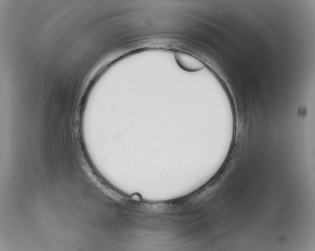 X0000112721045200910011127