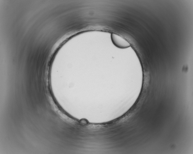 X0000112721046200910011127