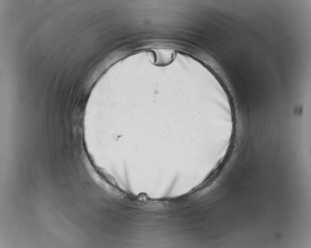 X0000112721049200910011127