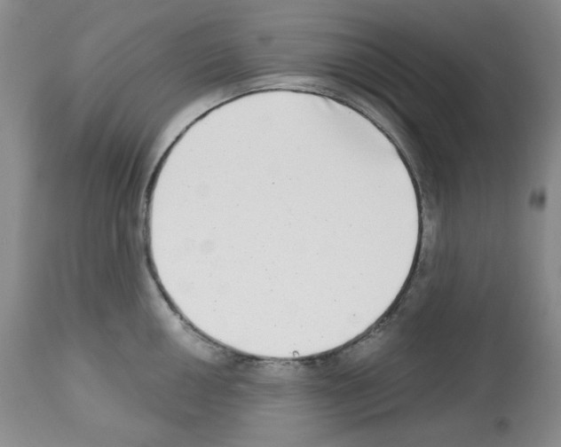 X0000112721050200910011127