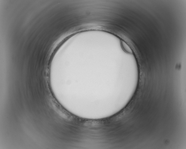 X0000112721051200910011127