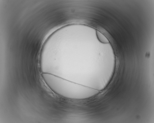 X0000112721052200910011127