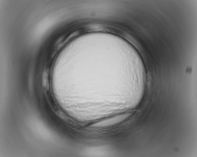 X0000112721055200910011127