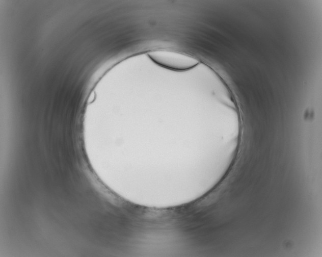 X0000112721056200910011127