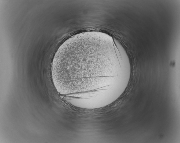 X0000112721057200910011127