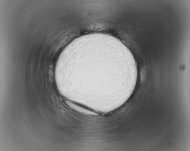 X0000112721059200910011127