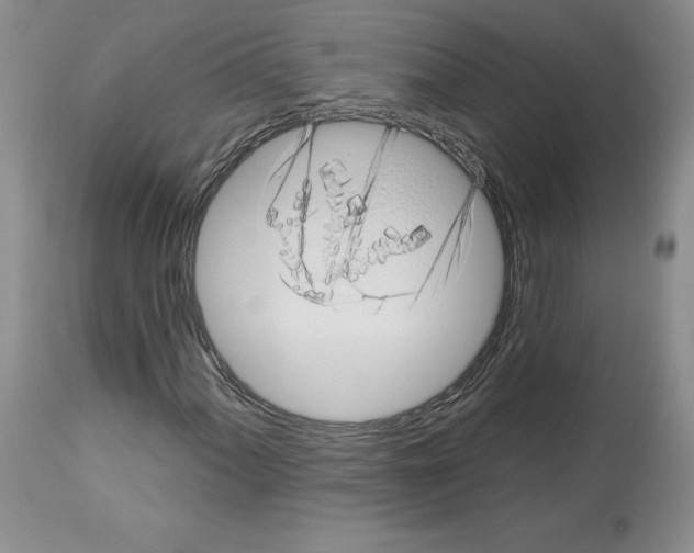 X0000112721060200910011126