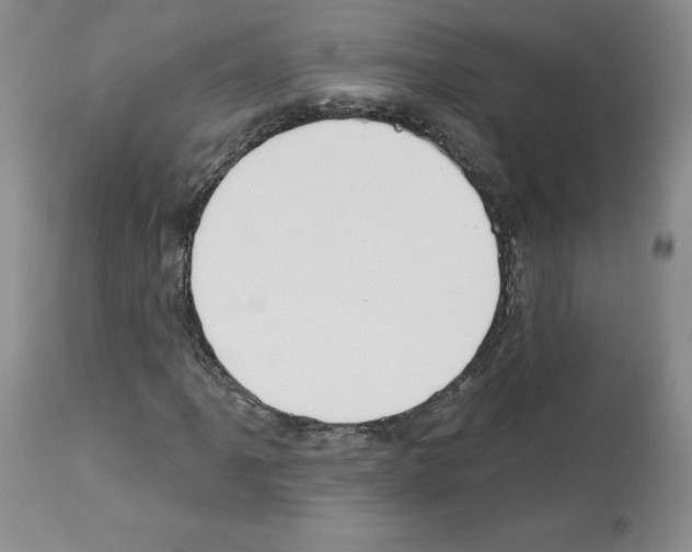 X0000112721061200910011126