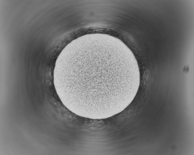 X0000112721062200910011126