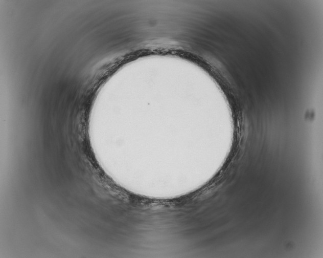 X0000112721063200910011126