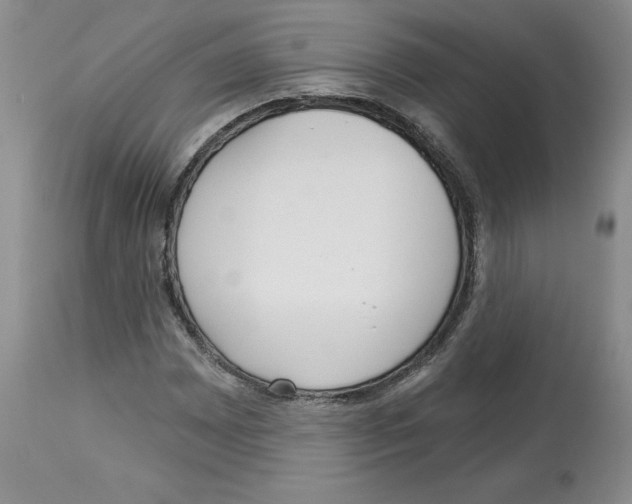 X0000112721065200910011126