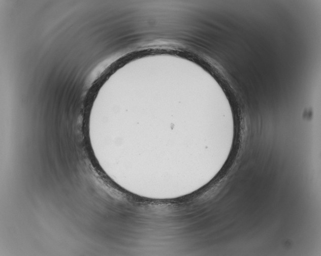 X0000112721066200910011126