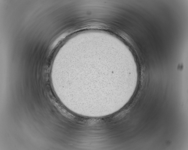 X0000112721067200910011126