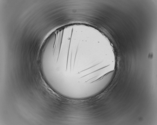 X0000112721068200910011126