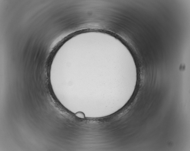 X0000112721070200910011126