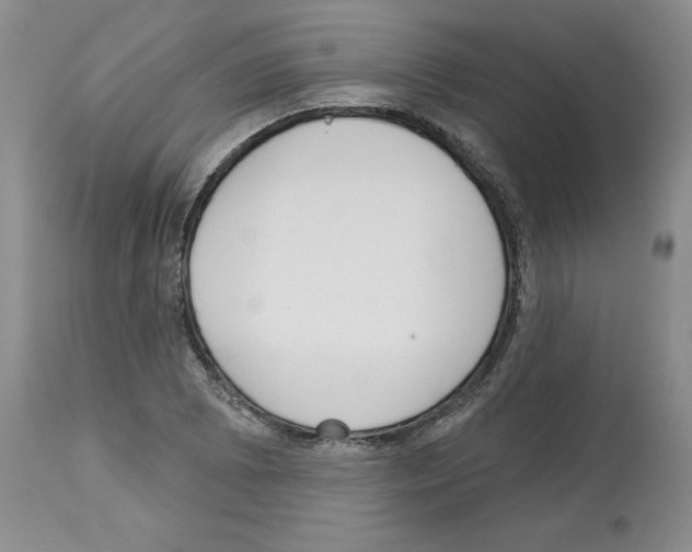 X0000112721073200910011126