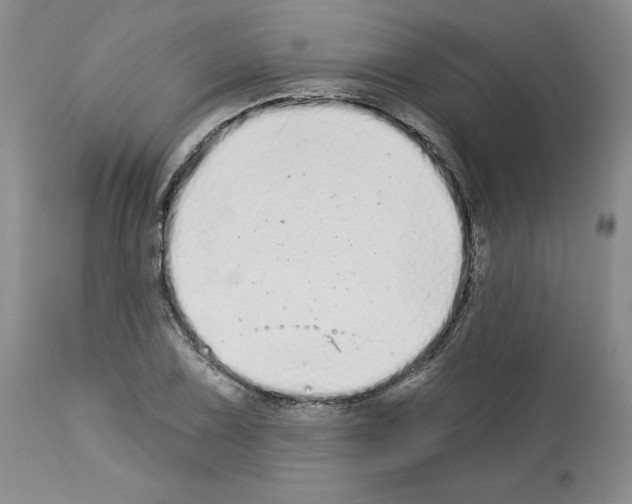 X0000112721075200910011126