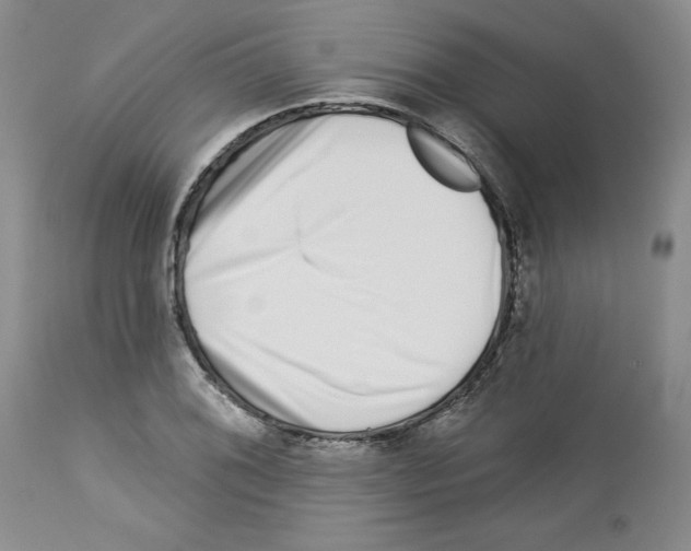 X0000112721076200910011126