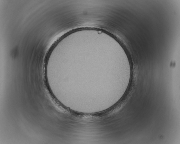 X0000112721077200910011126