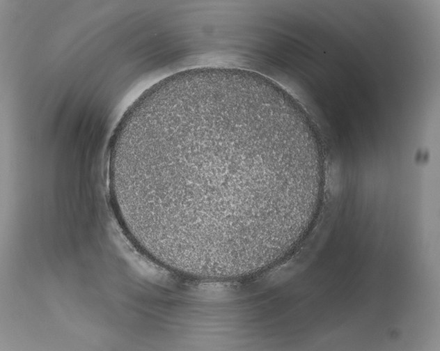 X0000112721078200910011126