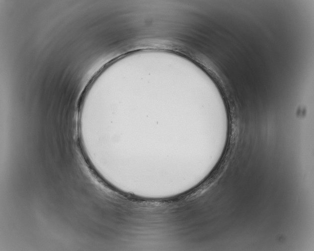 X0000112721079200910011126